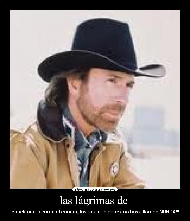 las lágrimas de  - chuck norris curan el cancer, lastima que chuck no haya llorado NUNCA!!!