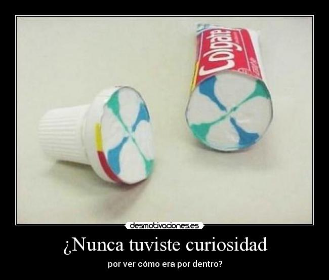 ¿Nunca tuviste curiosidad -