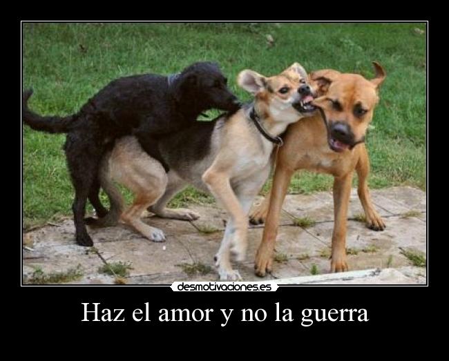 carteles amor guerra amor guerra pelear sexo follar perro perros morder face animal humanos desmotivaciones