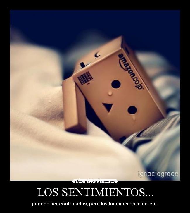 LOS SENTIMIENTOS... -