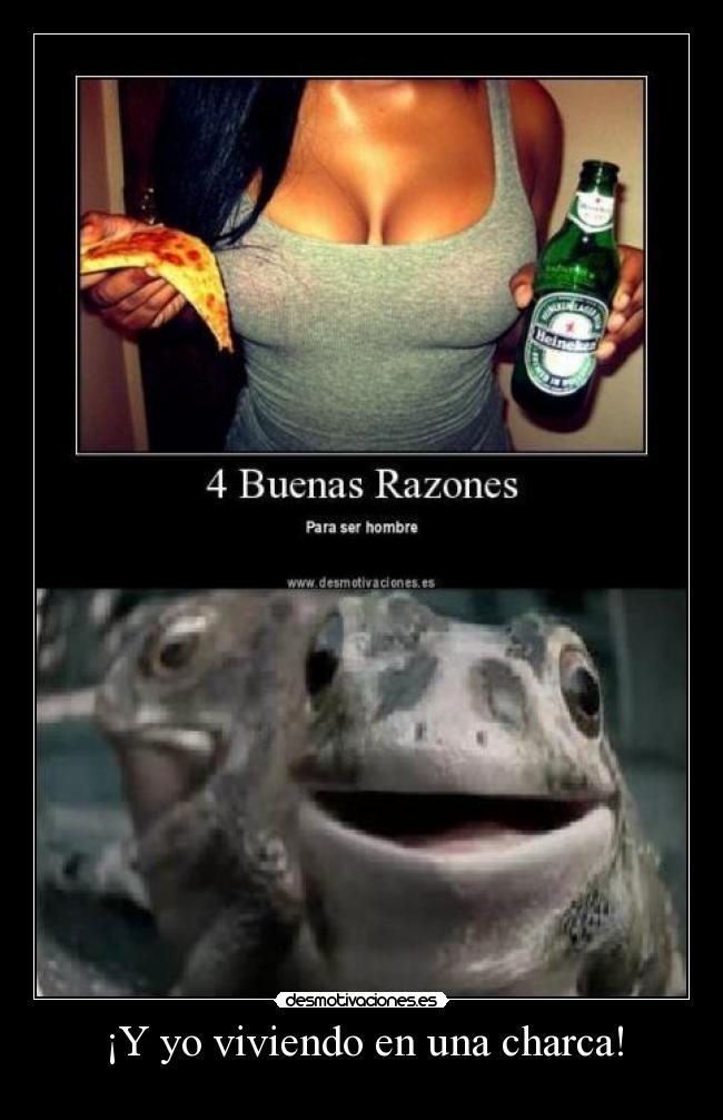 ¡Y yo viviendo en una charca! -