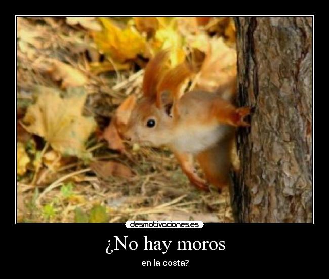 carteles hjhhhihibaoi3 desmotivaciones