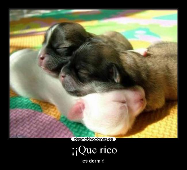 ¡¡Que rico -