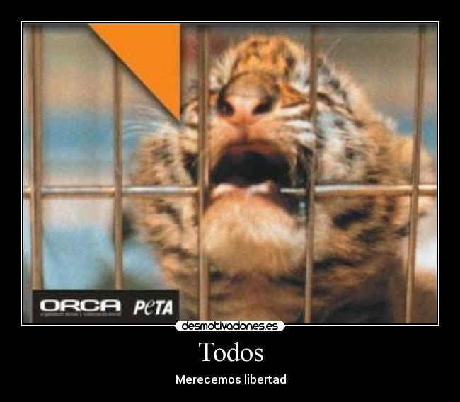 Todos - Merecemos libertad