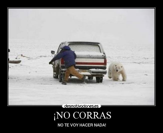 ¡NO CORRAS - NO TE VOY HACER NADA!