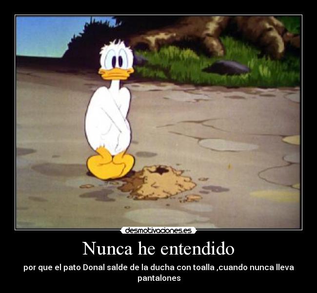 Nunca he entendido -