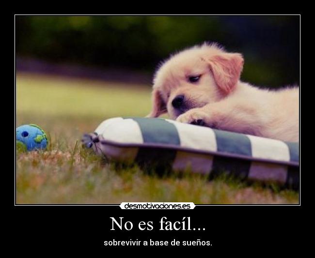 No es facíl... - sobrevivir a base de sueños.