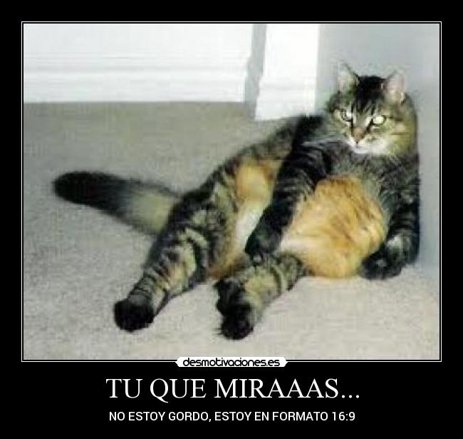 TU QUE MIRAAAS... - NO ESTOY GORDO, ESTOY EN FORMATO 16:9