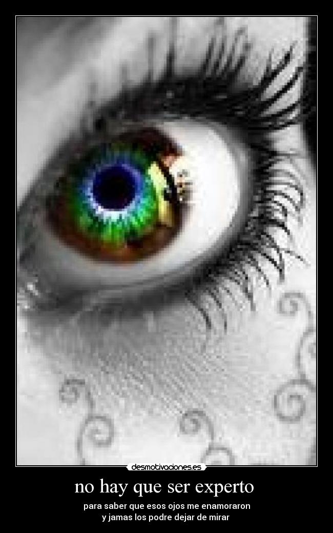 carteles ooooolalala desmotivaciones