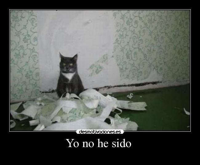 Yo no he sido  - 