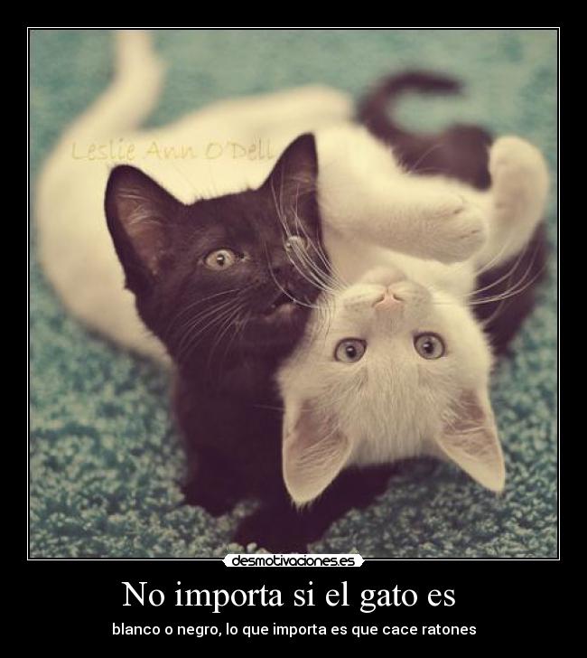 No importa si el gato es  - blanco o negro, lo que importa es que cace ratones