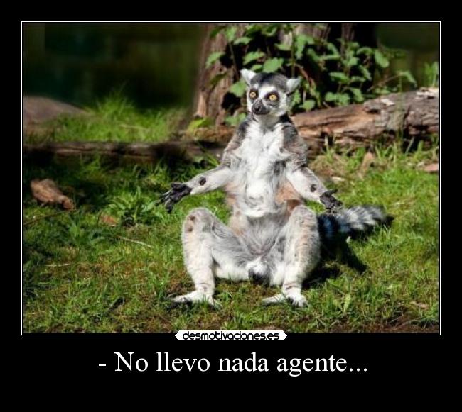 - No llevo nada agente... -