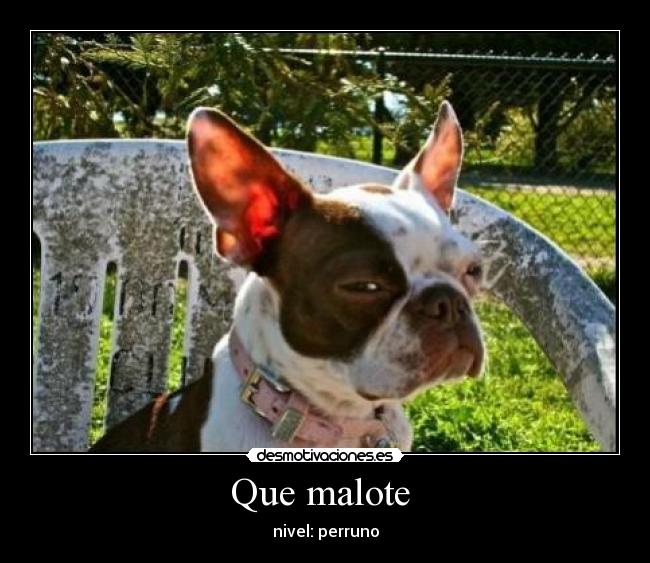 Que malote -