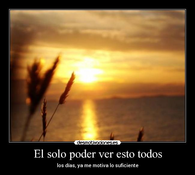 El solo poder ver esto todos - los días, ya me motiva lo suficiente
