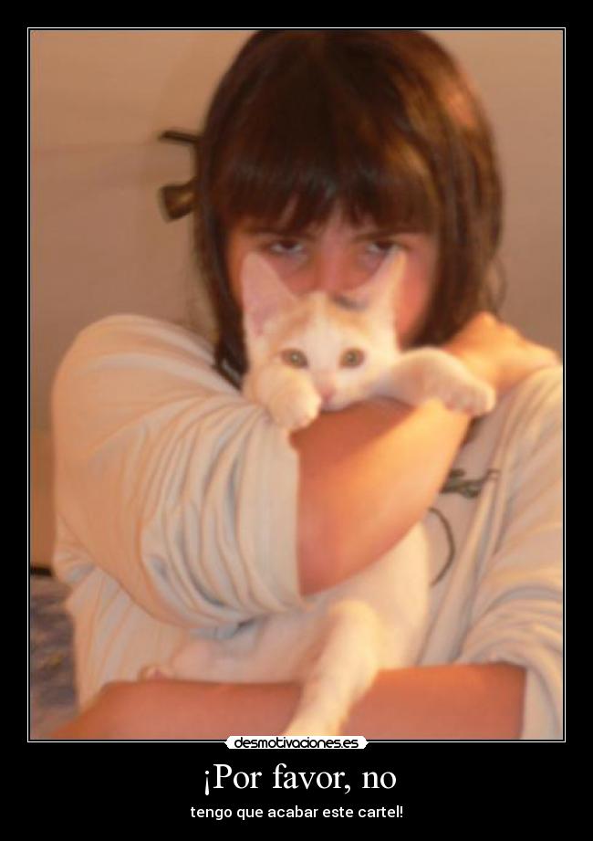 carteles gatos desmotivaciones