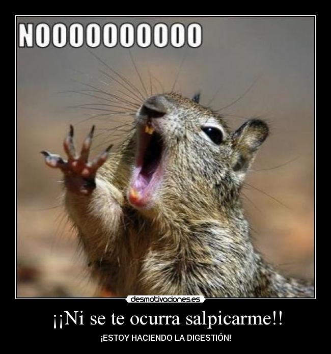 ¡¡Ni se te ocurra salpicarme!! -