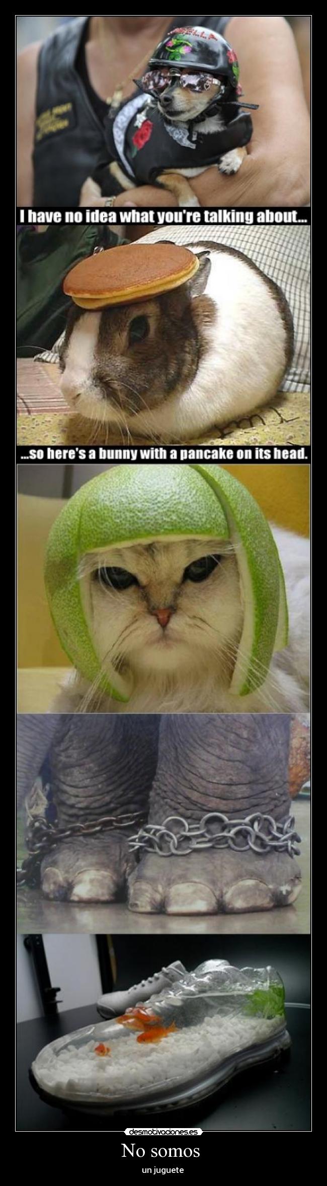 No somos - un juguete