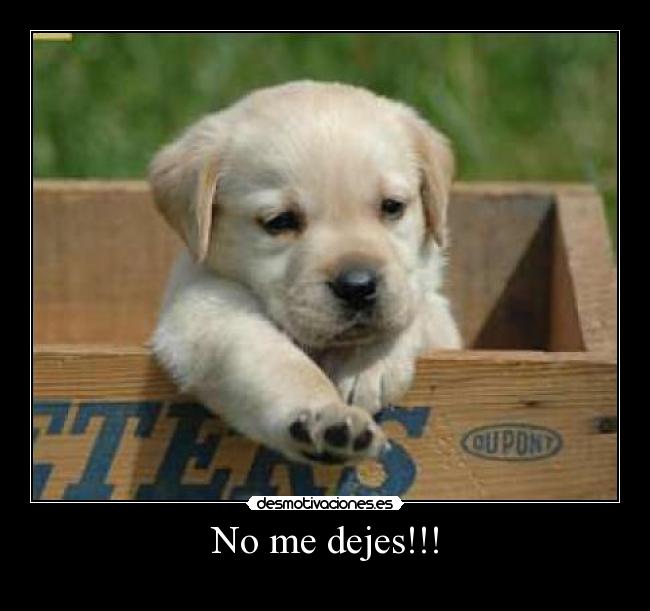 No me dejes!!! -