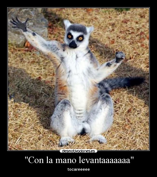 Con la mano levantaaaaaaa - 