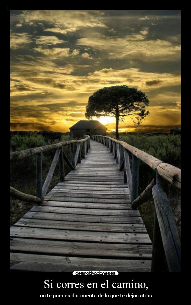 Si corres en el camino, - no te puedes dar cuenta de lo que te dejas atrás