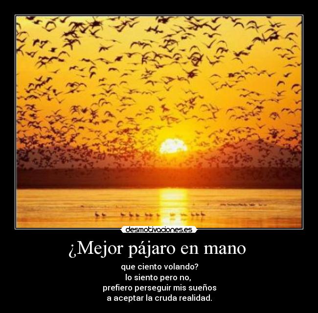 ¿Mejor pájaro en mano  - que ciento volando?
lo siento pero no, 
prefiero perseguir mis sueños
a aceptar la cruda realidad.