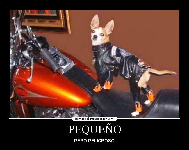 PEQUEÑO - PERO PELIGROSO!