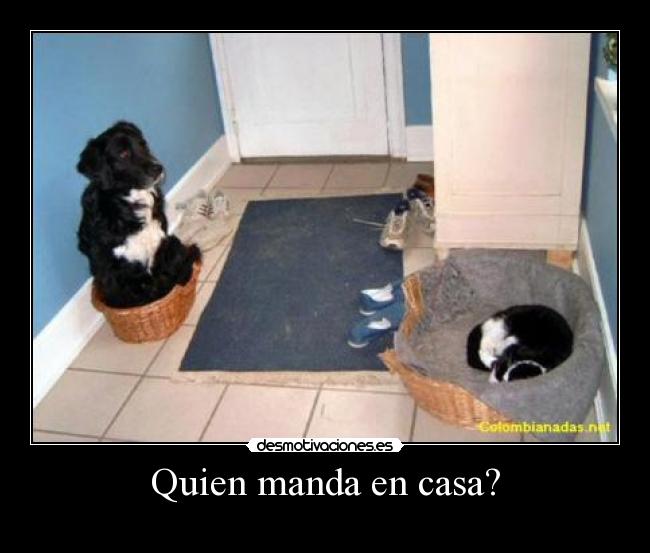 Quien manda en casa? -