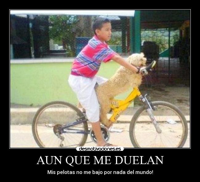 AUN QUE ME DUELAN - 