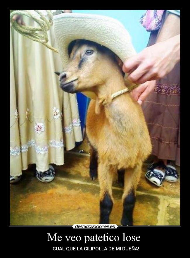 Me veo patetico lose - IGUAL QUE LA GILIPOLLA DE MI DUEÑA!