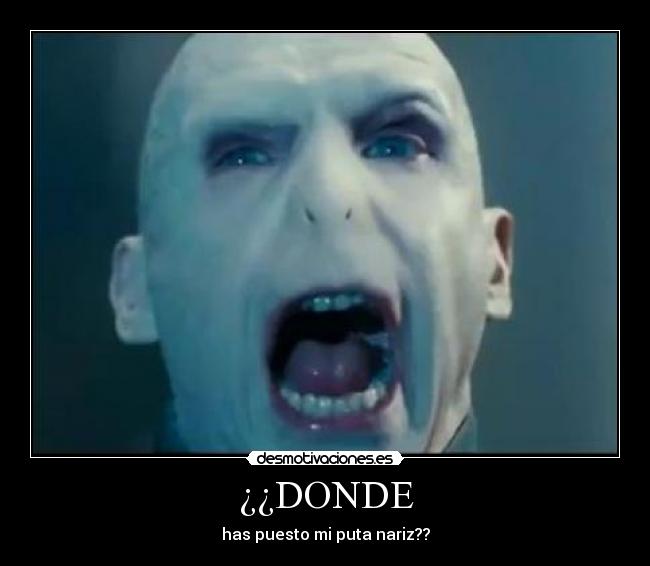 carteles nariz voldemort desmotivaciones