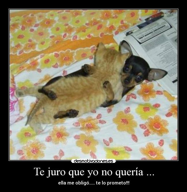 Te juro que yo no quería ... - 