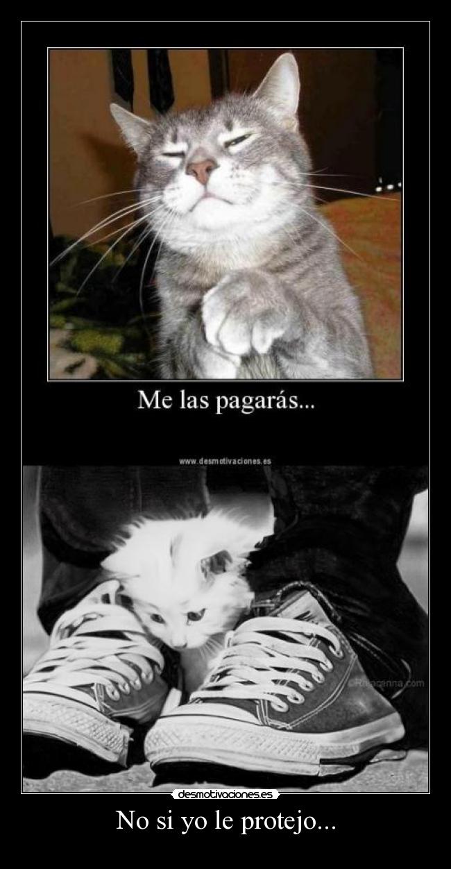 No si yo le protejo... -