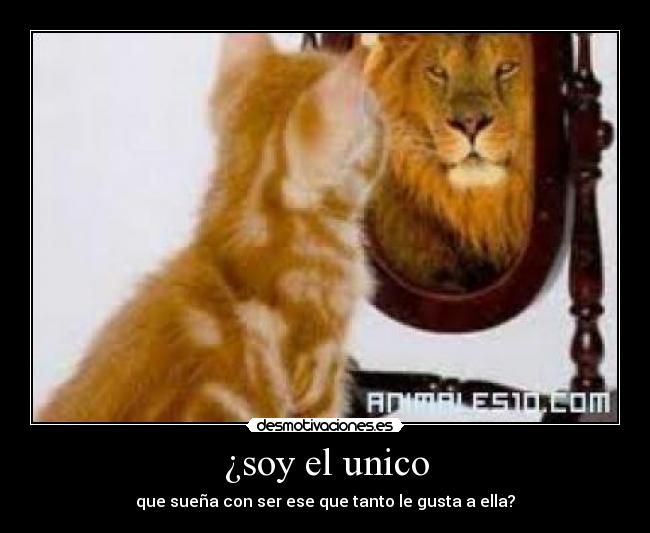 ¿soy el unico - que sueña con ser ese que tanto le gusta a ella?
