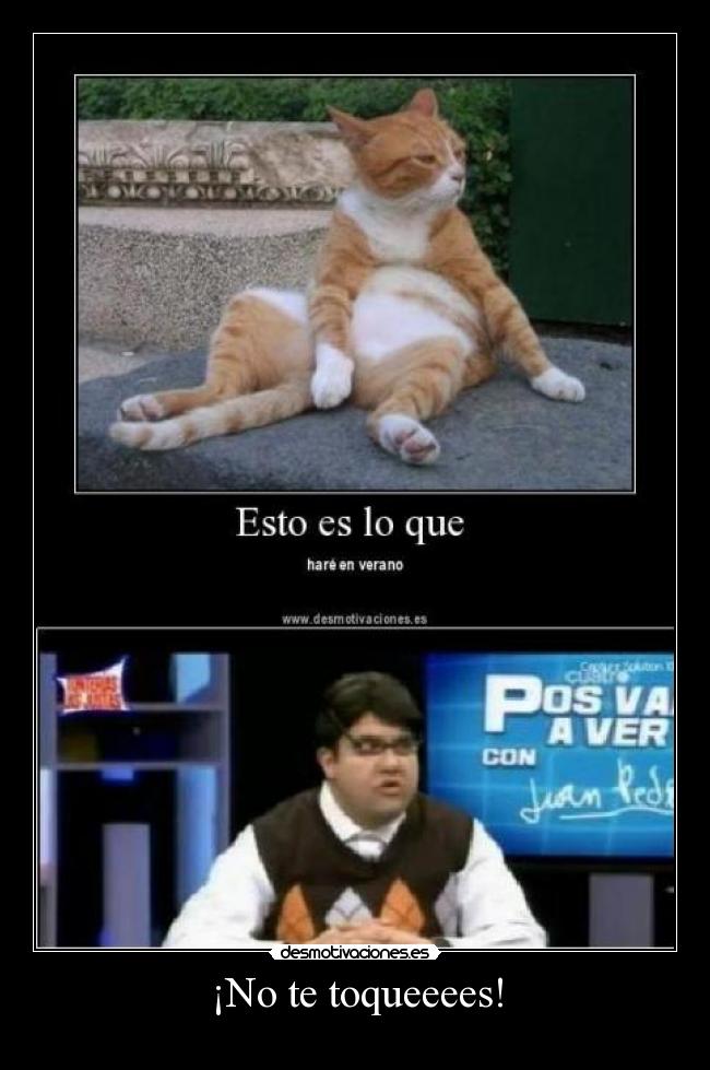 ¡No te toqueeees! - 