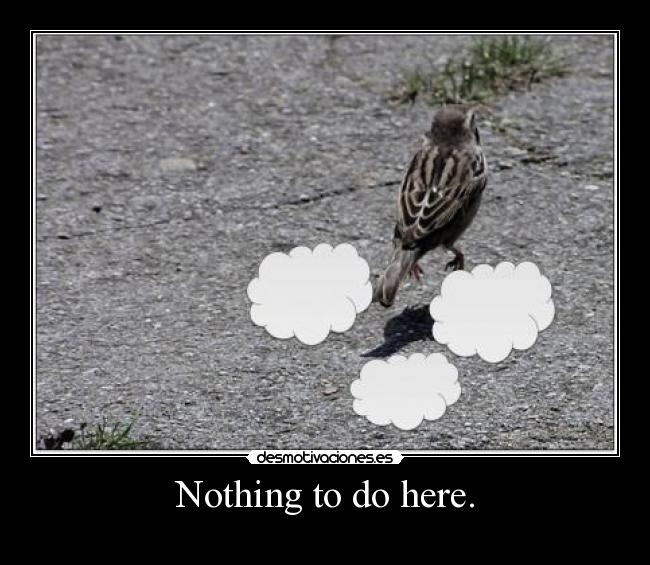 Nothing to do here. -