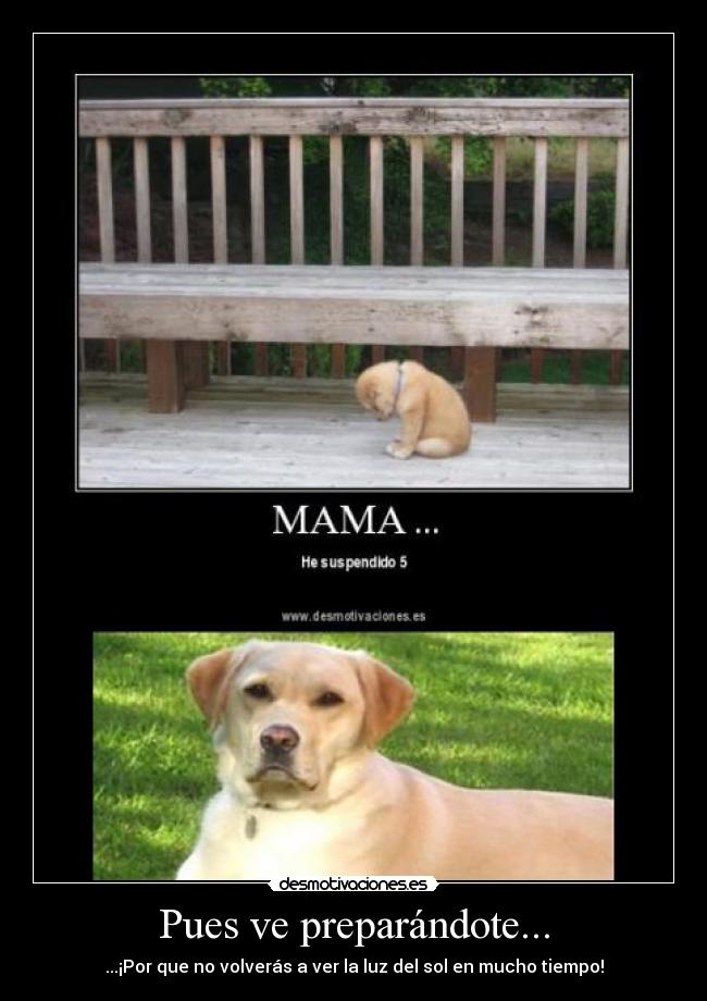 Pues ve preparándote... -