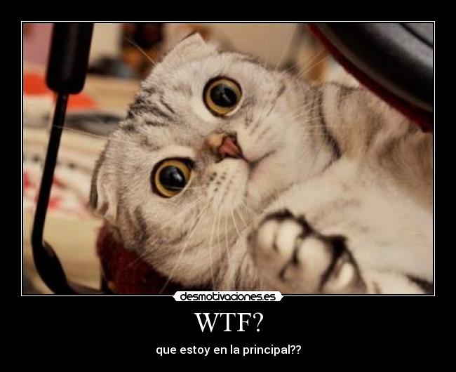 WTF? - que estoy en la principal??