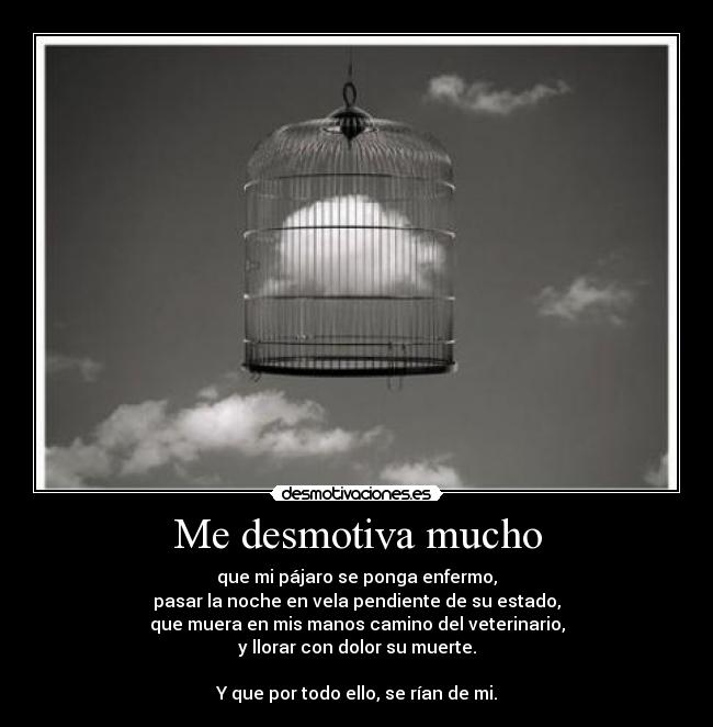 Me desmotiva mucho - que mi pájaro se ponga enfermo,
pasar la noche en vela pendiente de su estado,
que muera en mis manos camino del veterinario,
y llorar con dolor su muerte.

Y que por todo ello, se rían de mi.