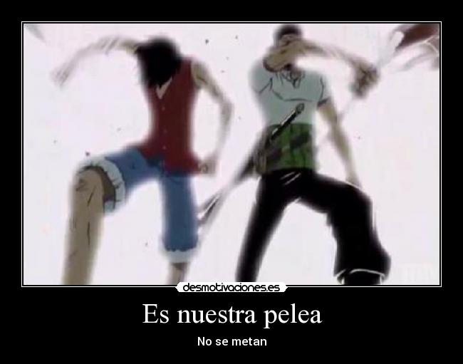 Es nuestra pelea - No se metan