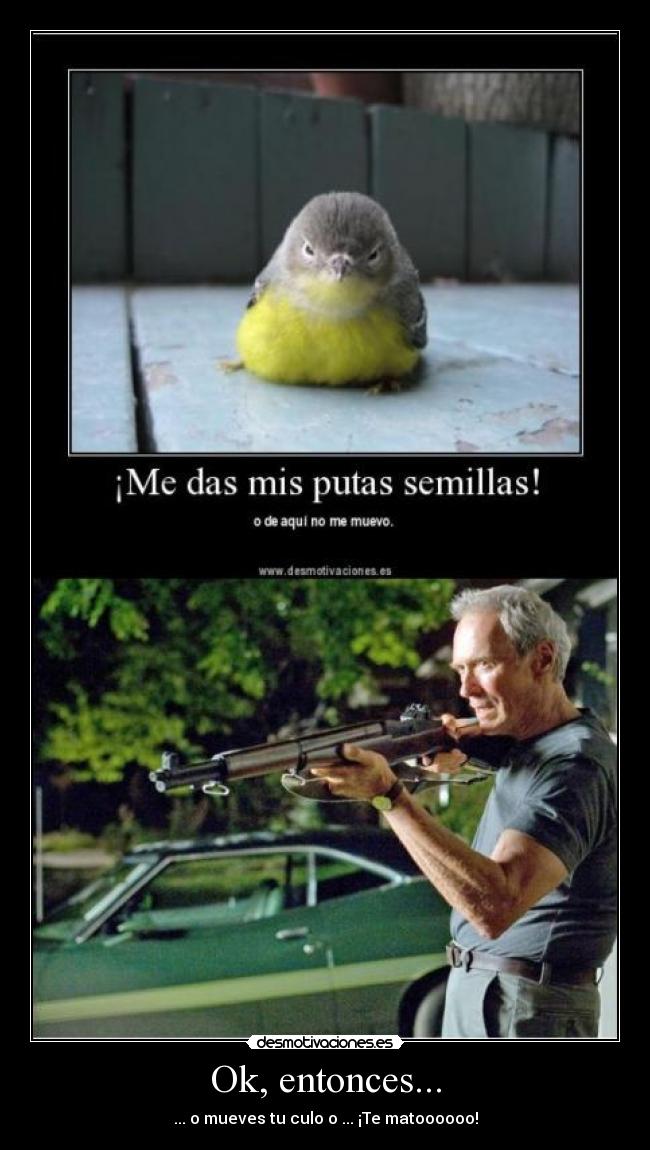 carteles pajaro-entonces-ok-culo-gordo-mueves-putas semillas-te-mato-joanxd desmotivaciones