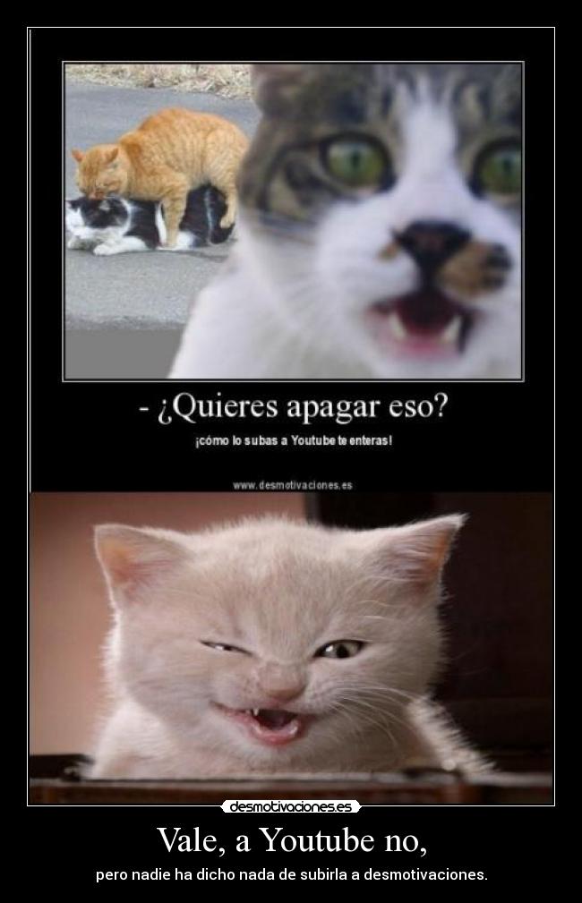 carteles gato desmotivaciones