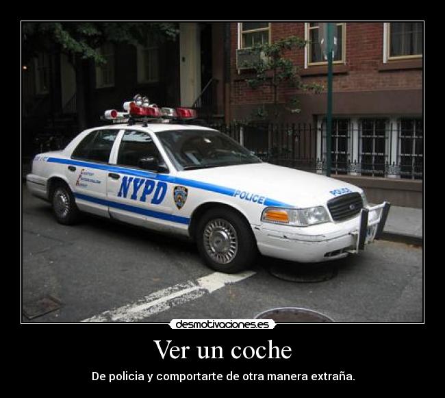 Ver un coche - 