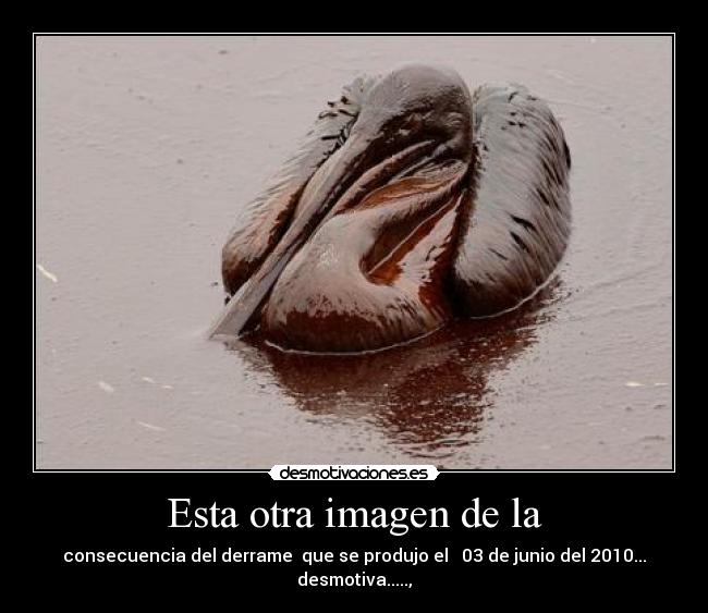 Esta otra imagen de la - consecuencia del derrame  que se produjo el   03 de junio del 2010...
desmotiva.....,