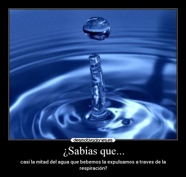 ¿Sabías que... - casi la mitad del agua que bebemos la expulsamos a traves de la respiración?