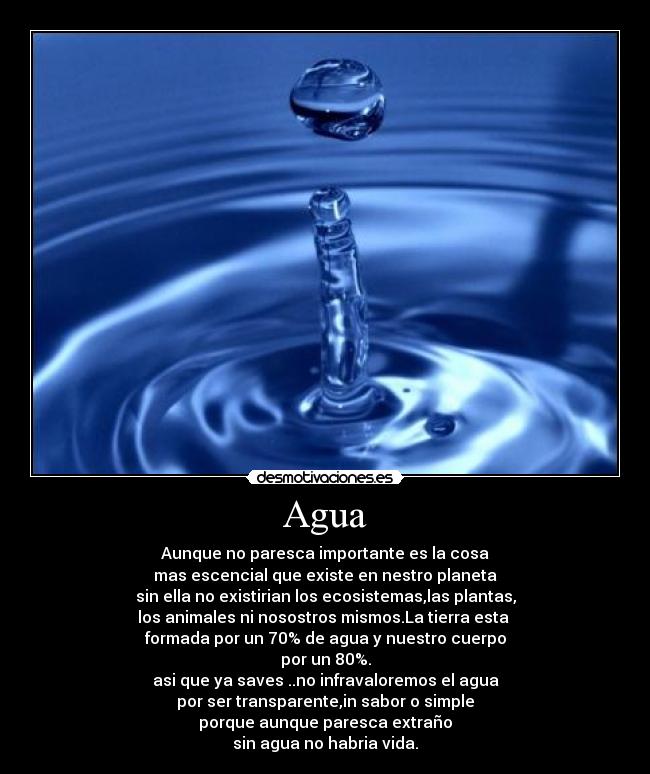 Agua - 
