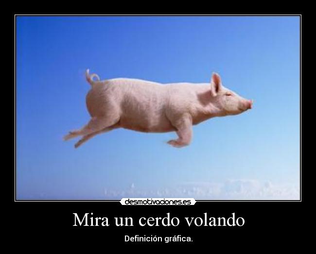 Mira un cerdo volando - Definición gráfica.