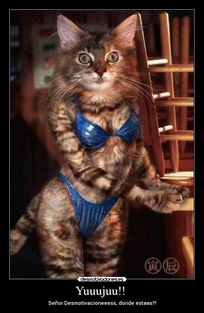 Yuuujuu!! - Señor Desmotivacioneeess, donde estaas?!