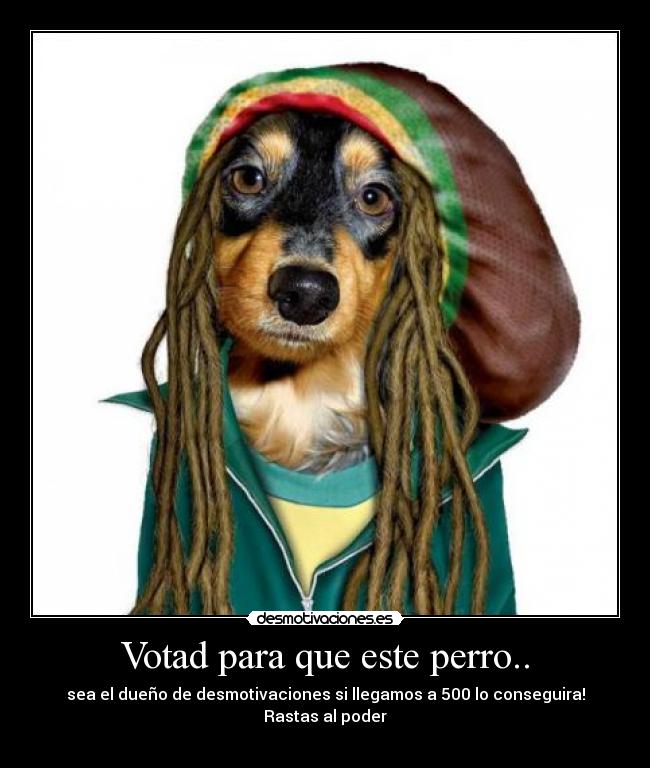 carteles simpsons gatosperro animal desmotivaciones