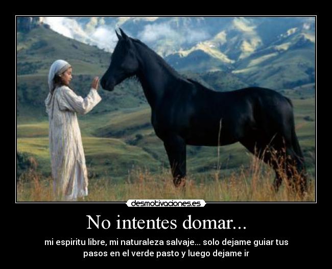 No intentes domar... - mi espiritu libre, mi naturaleza salvaje... solo dejame guiar tus
pasos en el verde pasto y luego dejame ir