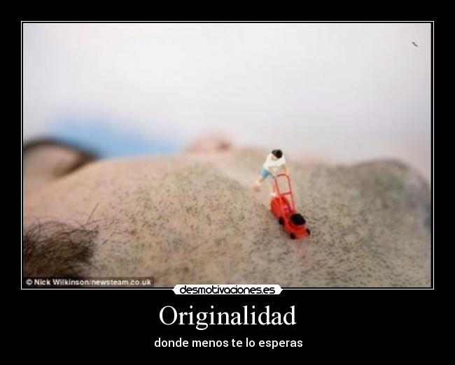 Originalidad - donde menos te lo esperas